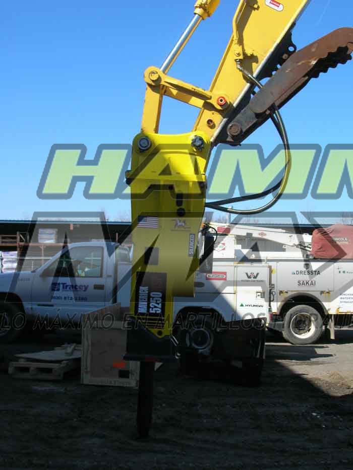 DSCN2204